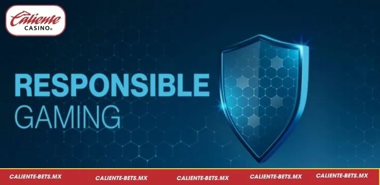 Why a Professional Approach to Responsible Gaming Matters
