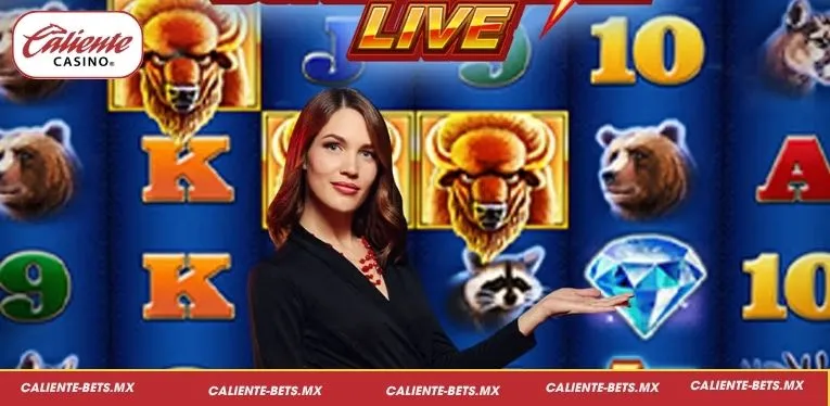 Why Buffalo blitz Live is the Best Choice for Social Players